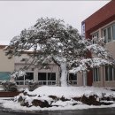 각남면사무소 이미지