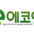 주식회사 에코영 이미지