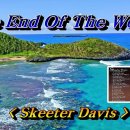 The End of The world(세상의 끝)-Skeeter Davis 이미지