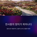 삼십일일(31 1) | 곡성세계장미축제 2026 일정 입장료 주차 총정리