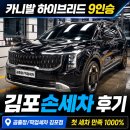 카니발 하이브리드 9인승 첫 세차, 김포손세차 곰출장/픽업세차 김포점 후기[내돈내산]