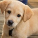 세화약국 이미지