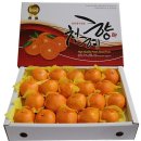 나영농장 이미지