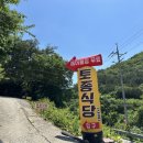 계곡 끝집 | 담양 계곡 백숙 맛있는 집 용흥사 계곡 끝집 토종식당 리얼 후기
