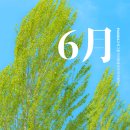 WR(서울특별시 강서구)-[마곡중앙2로]-상-2 | [공지] 2026년 6월 수강등록 안내[강서구중국어학원_마곡중국어학원_발산중국어학원]