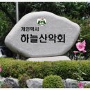 세이브마트 앞 사거리 이미지