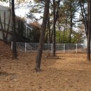 신원3리 이미지