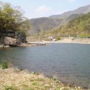 늘빛강가 이미지