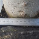 덕곡농장 이미지