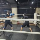 광교S2복싱다이어트 이미지