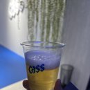 카스월드 이미지