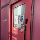 캔디독 | 하남미사 애견카페 강아지미용 캔디독