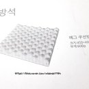 바이앤위드