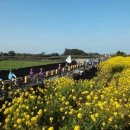 자전거문화센터 이미지