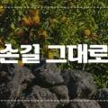 제주귤썸농수산