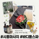 주차60 | 엄마랑 힐링하고 온 ‘바디튠 은계 스파앤마사지 시흥점’ 아로마 60분 솔직후기 및 주차 꿀팁