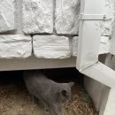 곽*룡