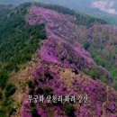 간석1동-17 | [봄꽃놀이] 인천의 꽃놀이 장소를 사사삭 -미션이벤트-