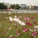 신당종합사회복지관 이미지