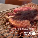주문북로 | 전주 양갈비 맛집 양기와 전북도청점 양고기 룸식당 후기