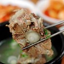 꼬리식당 이미지