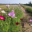 벽골제모텔 | 🌾혼자여행 김제 &amp;벽골제 여행🌾