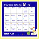 우쭈쭈플렉스 강아지 유치원 호텔 이미지