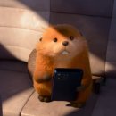 메이블헤어 | 디즈니 픽사 애니메이션 영화 《 호퍼스 》 기본 정보 관람 후기 (스포 유 / 무 후기) 리뷰 쿠키 유무