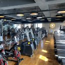 자마이카 휘트니스, 필라테스 화곡점 이미지