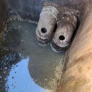 남촌도림동-24 이미지