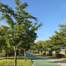 남매공원(경산고옆) 이미지