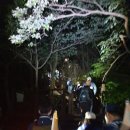 노고단-16 | (둘레길 사진후기 - 16) 지리산 노고단, 반야봉