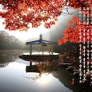 단풍슈퍼