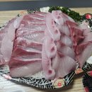 은하 | 가락시장 회포장 가락몰 횟집 추천 은하수산 대방어 후기