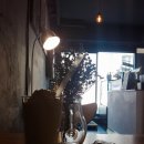 사주타로커피 이미지