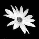 초이스내과신경과의원 이미지