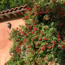 안목있는 춘향 | [강릉 숙소 추천] '안목있는 춘향' 독채 펜션 객실 솔직 후기(장단점, 내돈내산)