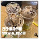 메가엠지씨커피천안병천점 | 천안 메가커피 행운냥 커피초코칩 젤라또 슈크림라떼