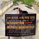 향림동산(흑염소농장) | 퇴촌 율봄식물원 아이랑 토마토 따기, 동물 농장, 레일썰매 방문 후기