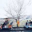 청도레일바이크 이미지