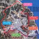 오랍드리 이미지