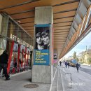 동양작은도서관 | 비틀즈 특별전