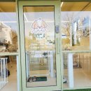 숲속애견샵 이미지