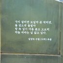 임양숙「나무」 이미지