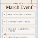썬플라워뷰티 | [구월동속눈썹펌] 완벽한 스타일링과 속전속결 펄뷰티 커브펌 후기