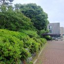 산운로160번길 이미지