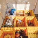 서초구 푸드뱅크마켓센터 | 과천바로마켓 1월 네번째주 기부, 시흥푸드뱅크마켓센터