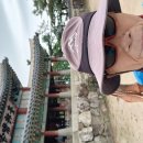 1. " 남한산성 " 성곽따라 한바퀴 - - - 2025.5.24.토.혼산.흐린후 비오다 개임(현지 4.3mm 강우량). 이미지