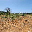 굴레목장 이미지