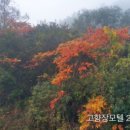 고향장모텔 이미지